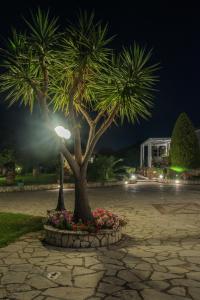 Mystic Garden Apartments