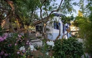 Les Maisons de pêcheurs - Sète