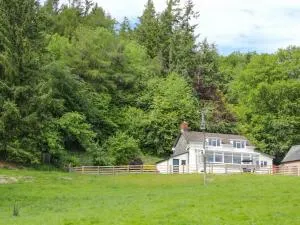 Caesamson - Trefeglwys