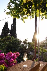 Villa Matilda