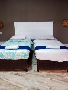 Royal Olympia Lodges and Safaris Livingstone