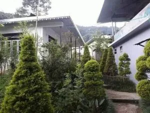 Vamoose Yakchiri - Pakhyong