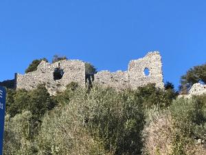 Cévennes Bessegeoises