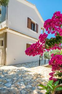 VILLA BOUGARINI Paxoi Greece