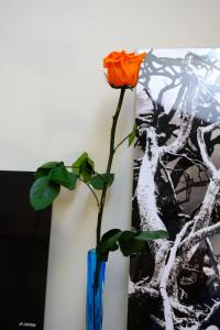 La maison du sculpteur à Tiffauges proche Puy du F