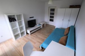 Hirszfelda Apartment