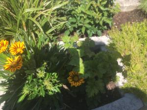 Haus Tschirgantblick