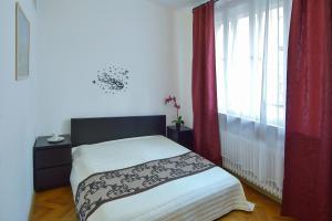 Modern Apartment Navrátilova II