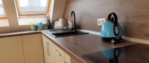 Sky Blue Danube Apartment Ruse