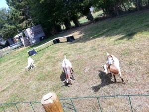 Maisons d'hotes Le pressoir de gisay : photos des chambres