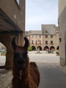 Appartements La Ferme des Andes - Gite l'Atelier : photos des chambres