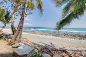 Casa Verde + Contiki, Cabo Matapalo