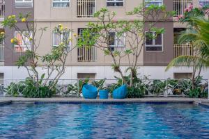 Titanium Express HomTel