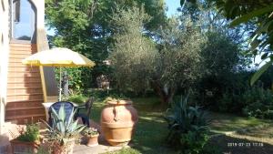 Estudio con vistas al jardín