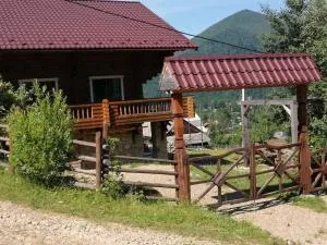 Vidal - تاتاريف