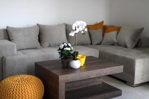 Apartmani Judita