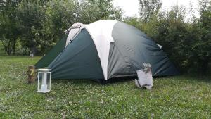 Lavander Garden Camping