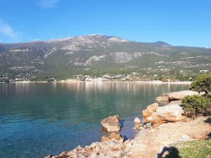 Where the Mountains meet the Sea