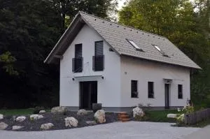 Brand new house Luna - Ribno