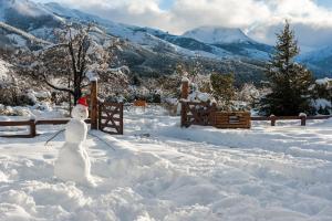 Cabañas & Apart Ruta 63