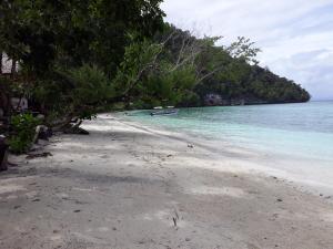 Turtle Dive Homestay