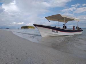 Turtle Dive Homestay