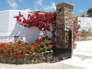 Galini Bungalows Tinos Greece