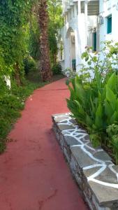 Manos Apartments Skopelos Greece