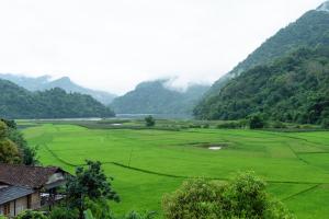 Minh Quang homestay
