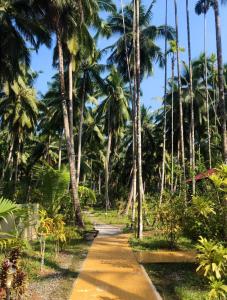 Beach No 5 Havelock, Port Blair, 744211 Andaman and Nicobar Islands