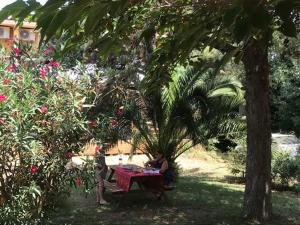 Résidence les Caraibes