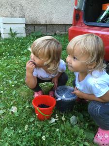 Apartma Apartmán u Tanvaldského Špičáku Jiřetín pod Bukovou Češka