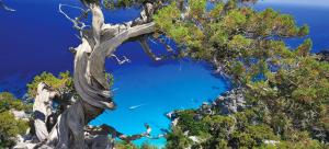 VILLA STELLA fronte mare Porto Frailis img27