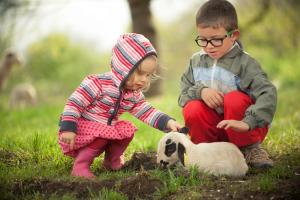 les roulottes du LOT