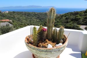 Walnut Tree Farm Kythira Greece