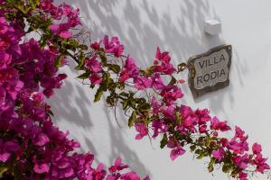 Villa with Sea View