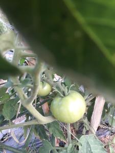 Auberge jnane dar diafa se trouve au centre de tamegrouteface de la bibiotheque