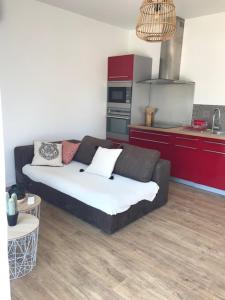Sejours chez l'habitant Guest House Olivades : Studio - Vue sur Piscine 