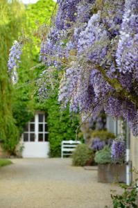 Hotels Chateau La Cheneviere : photos des chambres