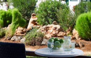 Family Garden View	