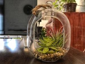 Talaveri Apartment in Old Tbilisi