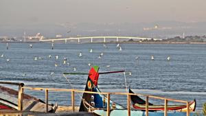 Torreira Camping & Bungalows