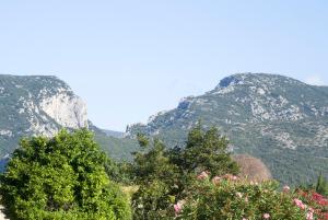 La Pause Cathare photo 6