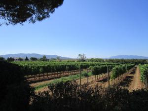 Agriturismo Poggio Campana