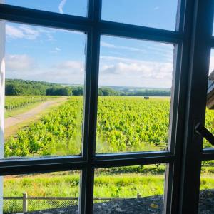 Maisons de vacances Au Coeur des Vignes : photos des chambres