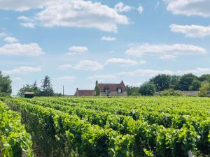 Maisons de vacances Au Coeur des Vignes : photos des chambres