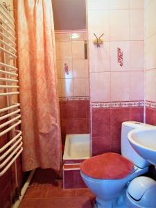 Відпочинок у Пронів