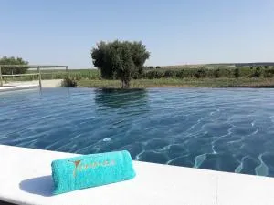 Terras - Agroturismo & Vinhos - Beja