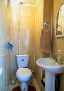 Відпочинок у Пронів