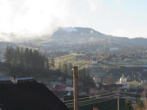 Відпочинок у Пронів